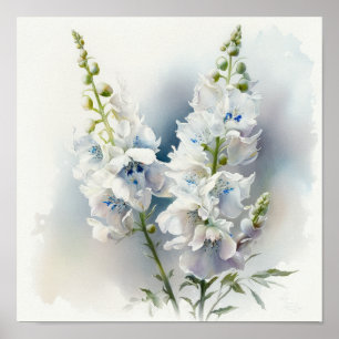 Pôster de Arte de Flor de Delphinium Branco