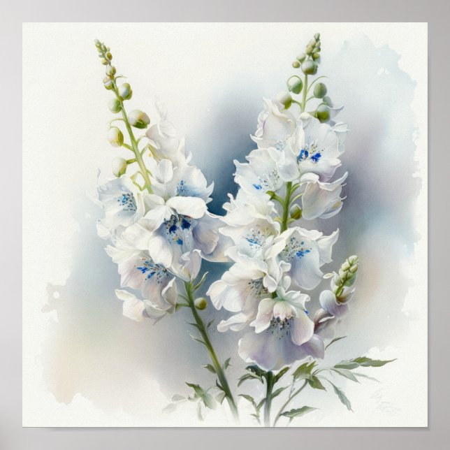 Pôster de Arte de Flor de Delphinium Branco (Frente)