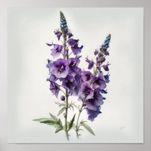Pôster de Arte de Flor de Delphinium Roxo