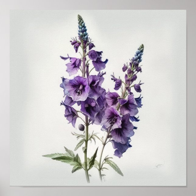 Pôster de Arte de Flor de Delphinium Roxo (Frente)