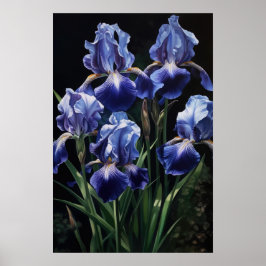 Pôster de Arte de Flor de Íris Azul