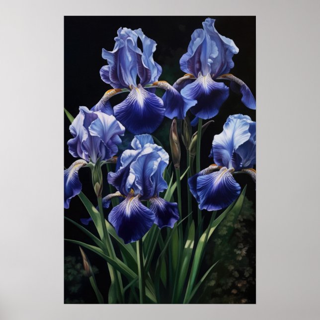 Pôster de Arte de Flor de Íris Azul (Frente)