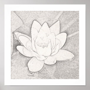 POSTER DE ARTE DE FLOR DE LOTUS GRAPHITE