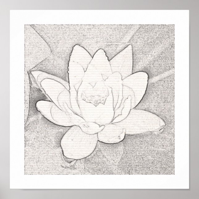POSTER DE ARTE DE FLOR DE LOTUS GRAPHITE (Frente)
