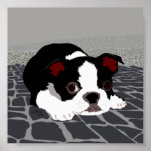 Poster de Arte de Parede de Boston Terrier Stone