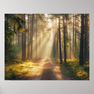 Pôster de Arte de Parede Luz da Manhã Floresta Dou