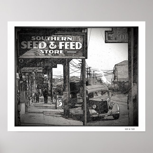 Poster de Arte de Sementes e Alimentos para Animai (Frente)