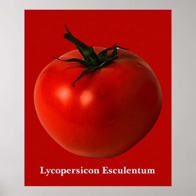 poster de arte do tomate (Frente)