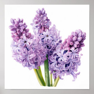 Poster de Arte Flor de lavanda Hyacinne