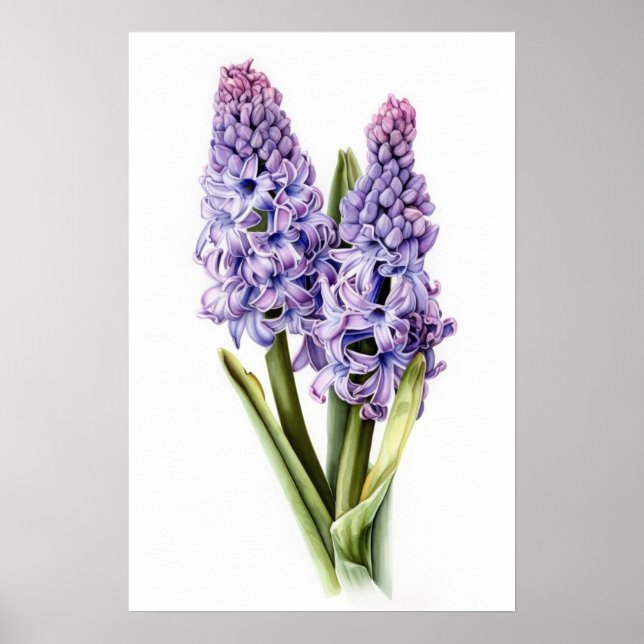 Poster de Arte Flor de lavanda Hyacinne (Frente)