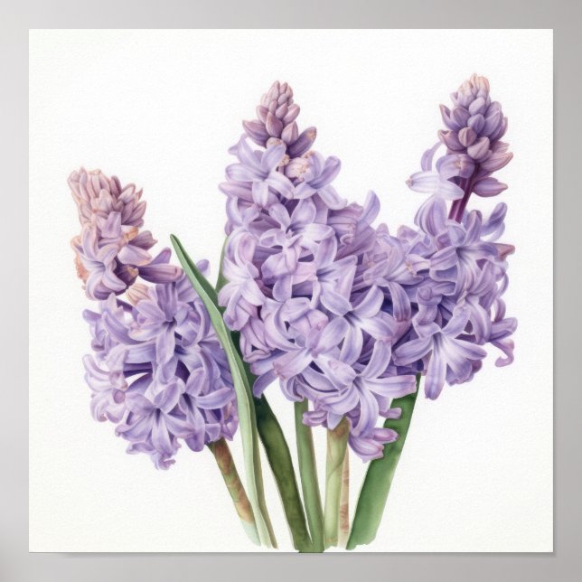 Poster de Arte Flor de lavanda Hyacinne (Frente)