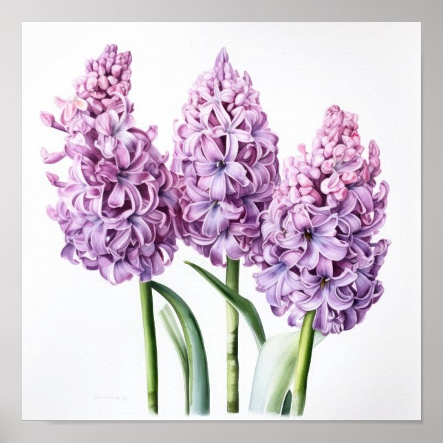 Poster de Arte Flor de lavanda Hyacinne (Frente)