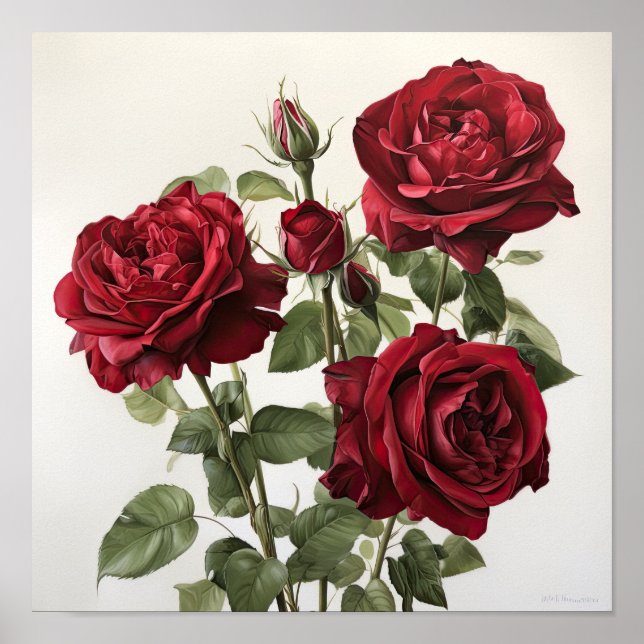 Poster de Arte Flor do Rosa vermelha (Frente)