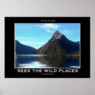 Poster de Arte Motivacional Cena de Pico NZ Miter