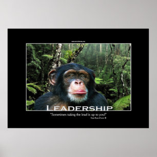 Poster de Arte Motivacional Chimpanzé LIDERSHIP