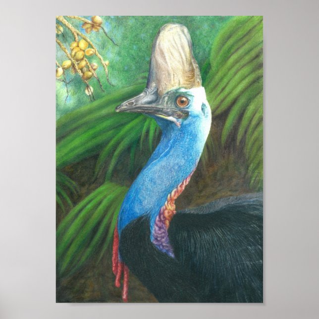 Poster de Arte Original Pintado Pela Mão Cassowary (Frente)