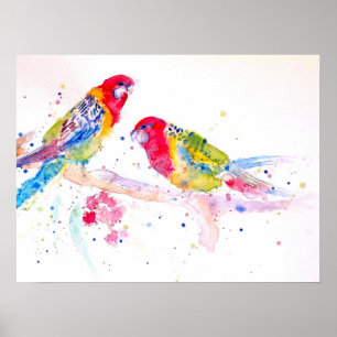Poster de Arte por Aquarela de Papagaio australian