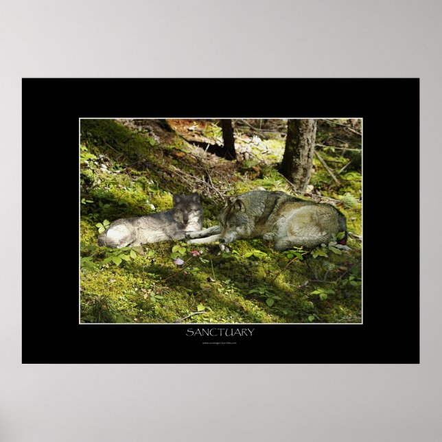 POSTER de Arte SANTUÁRIA (Frente)