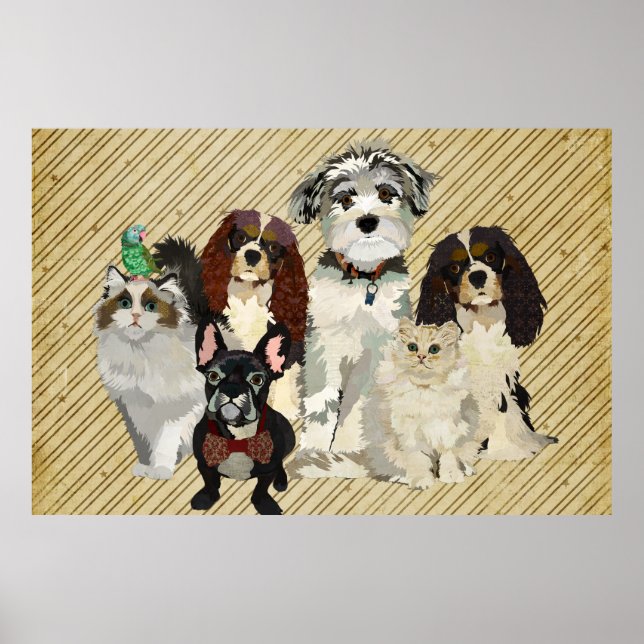 Poster de Artes, Garras e Penas (Frente)