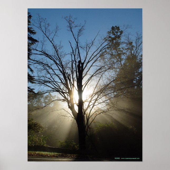 Poster de árvore da epifania (Frente)