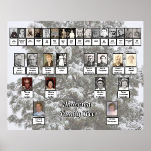 Poster de Árvore da Família Snowy Evergreen de 4 G