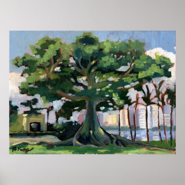 Poster de Árvore Kapok (Frente)