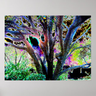 Poster de árvores de fada