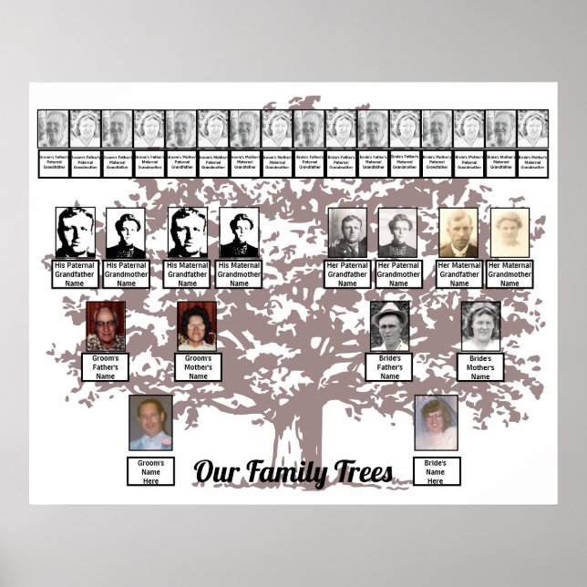 Poster de Árvores Familiares da Árvore de Folheto  (Frente)