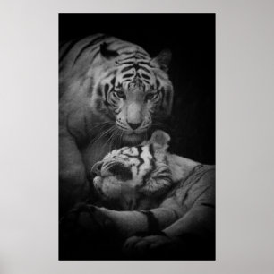 Poster de Assistência Necessária