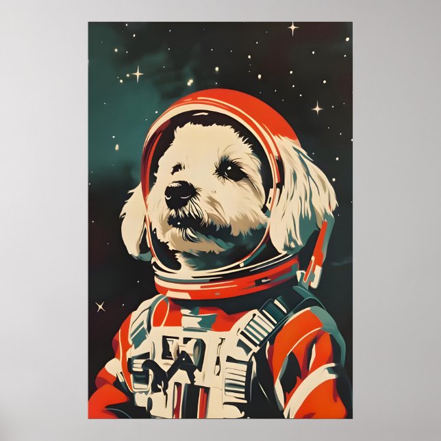 Pôster de Astronauta Bichon Frise, Bichon Frise Re (Frente)