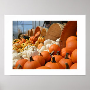 Poster de Autumn Pumpkins