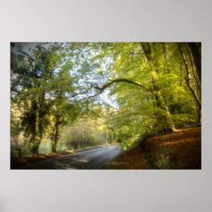 Poster de Autumn Woodland (4316)