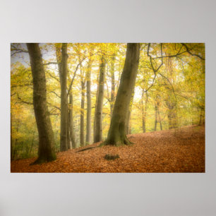 Poster de Autumn Woodland (4358)