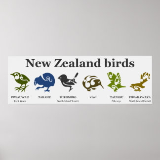 Poster de aves da Nova Zelândia
