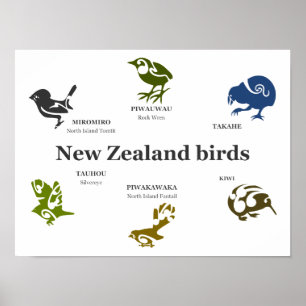 Poster de Aves da Nova Zelândia
