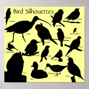 Poster de aves Silhouettes (16)