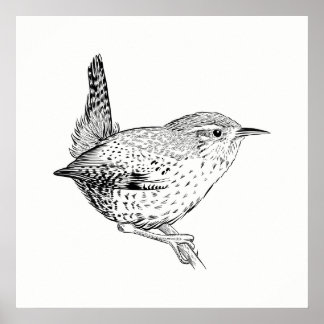 Poster de aves / Wall Art Wren