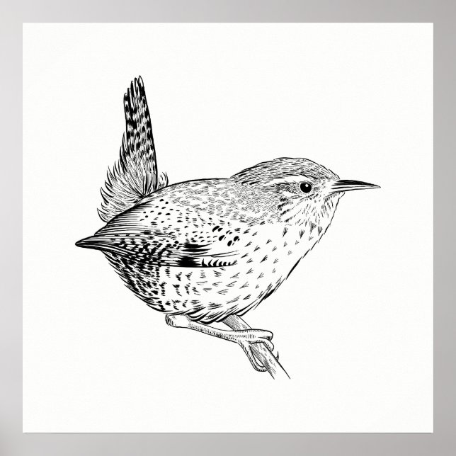 Poster de aves / Wall Art Wren (Frente)