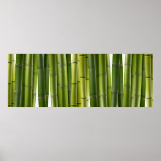 Poster de Bamboo Grove