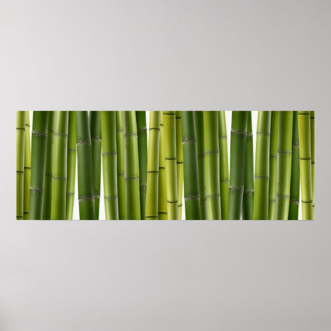 Poster de Bamboo Grove (Frente)