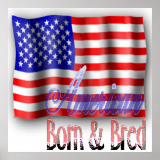Poster de Bandeira Americana