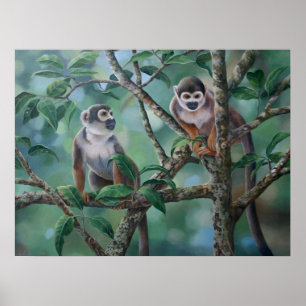 Pôster De "bares macaco "