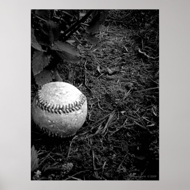 Poster de Baseball Esquecido (Frente)