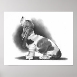 POSTER DE BASSET HOUND: ARTE DO REALISMO DO LÁPIS