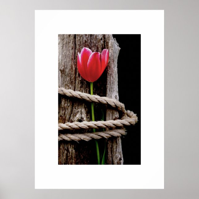 Poster de Bela Hospedagem (Frente)