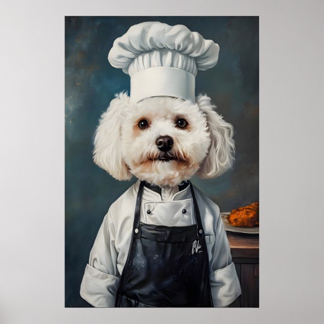 Poster de Bichon Frise com Chapéu de Chef, Poster  (Frente)