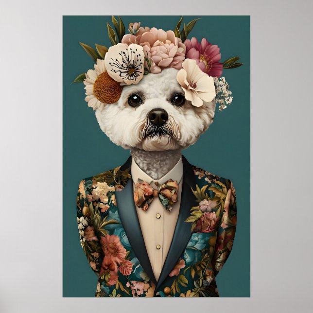 Pôster de Bichon Frise de Terno, Bichon Frise (Frente)