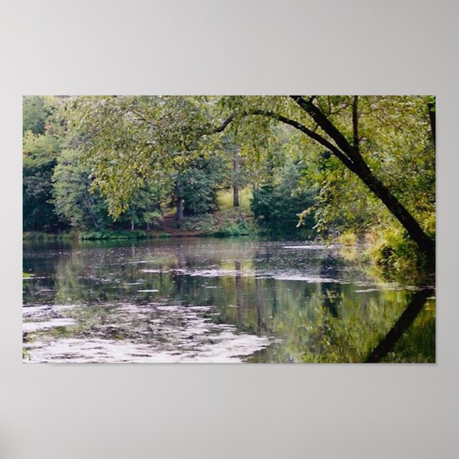 poster de biltmore (Frente)