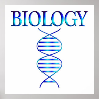 Poster de Biologia - A partir de US$ 11,80