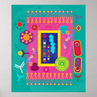 Poster de biologia celular